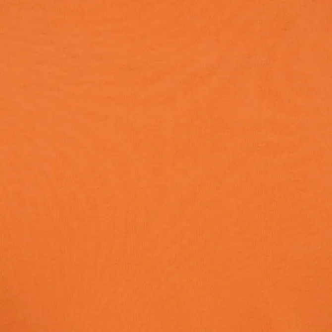 American Apparel Classic Cotton LS T-Shirt - Screen