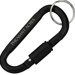 Carabiner Lock Keychain