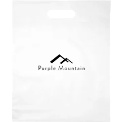 Convention Bag with Reinforced Handles - 15 inches x 12 inches