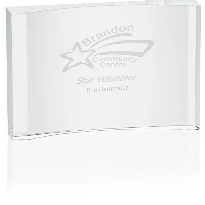 Distinguished Crystal Award