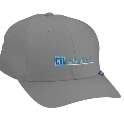 Flexfit V-Flex Twill Cap