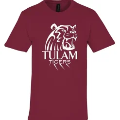 Gildan Softstyle Midweight T-Shirt - Men's