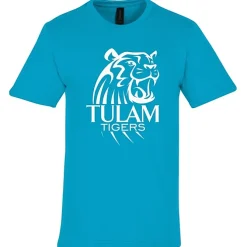 Gildan Softstyle Midweight T-Shirt - Men's