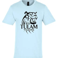 Gildan Softstyle Midweight T-Shirt - Men's