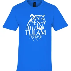 Gildan Softstyle Midweight T-Shirt - Men's