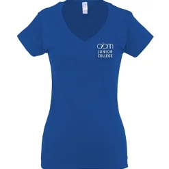 Gildan Softstyle V-Neck T-Shirt - Ladies' - Screen