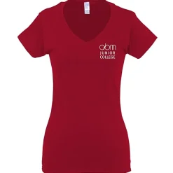 Gildan Softstyle V-Neck T-Shirt - Ladies' - Screen