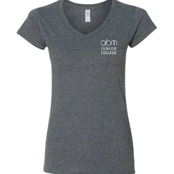 Gildan Softstyle V-Neck T-Shirt - Ladies' - Screen