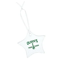 Hammered Glass Ornament - Star