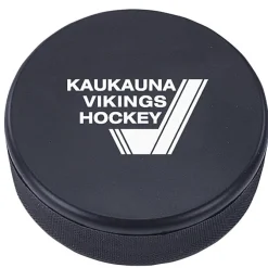Hockey Puck Stress Reliever