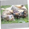 4 inches x 6 inches Brushed Aluminum Split Frame