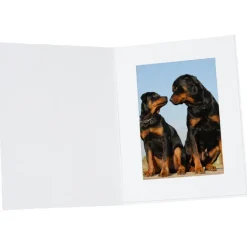 5 inches x 7 inches Portrait Folder - Vertical