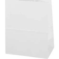 Kraft Paper White Shopping Bag - 10 3/4 inches x 8 inches