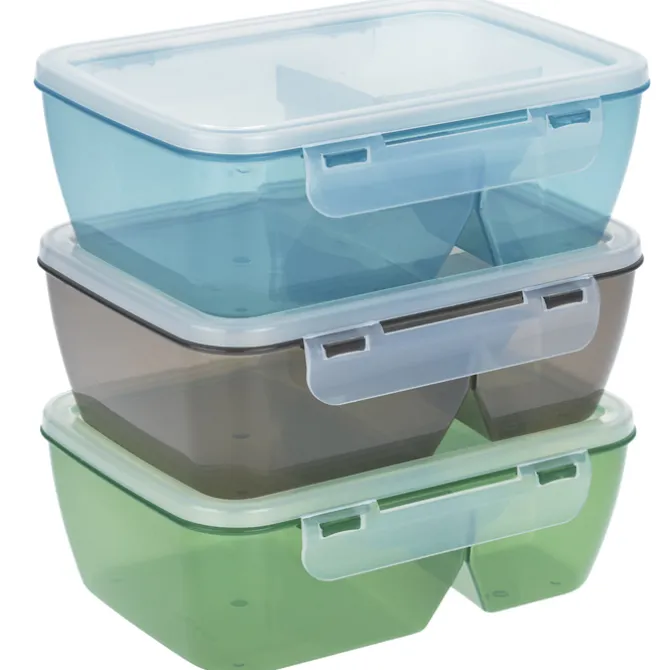 Lunch To Go Food Container - Translucent