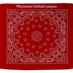 Paisley Bandana