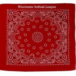 Paisley Bandana