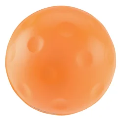 Pickleball Stress Reliever - 24 hr
