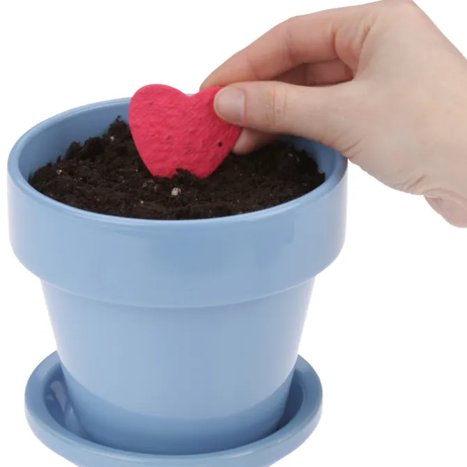 Plant-A-Shape Flower Seed Bookmark - Star