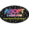 Removable Euro Bumper Sticker - Full Color