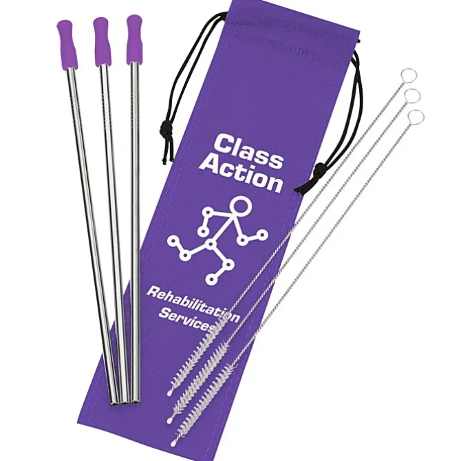 Stainless Steel Straw Set - 3-pack