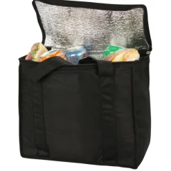 Zip Up Picnic/Shopping Tote